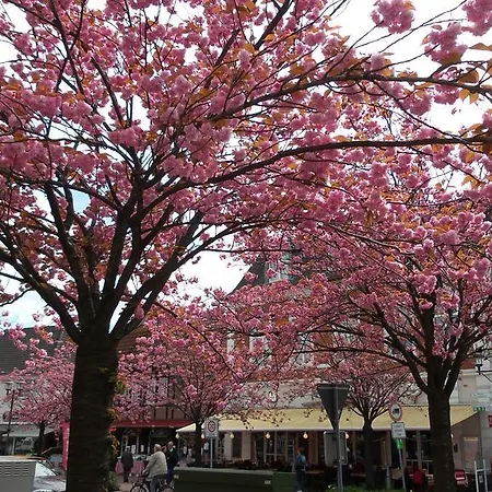 Διαμέρισμα Luftikus *