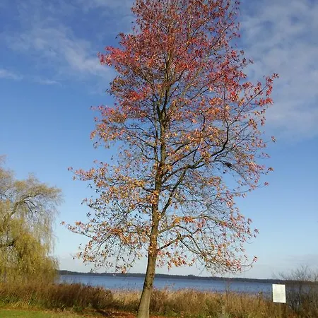 Lejlighed Luftikus Bad Zwischenahn